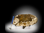 Rocks for Brains | Erratics for the home