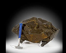 Columbia River Basalt Series, Specimen 3